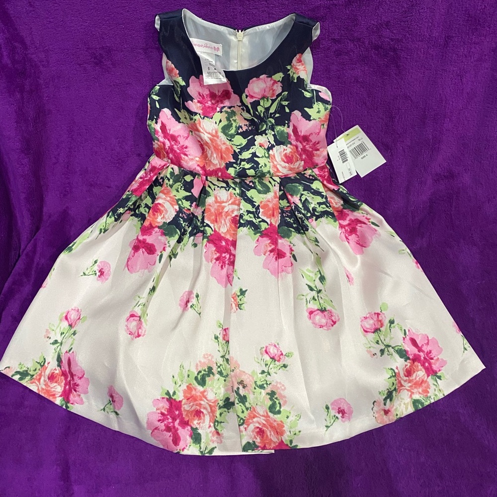 Girls toddler dress. New with tags.
